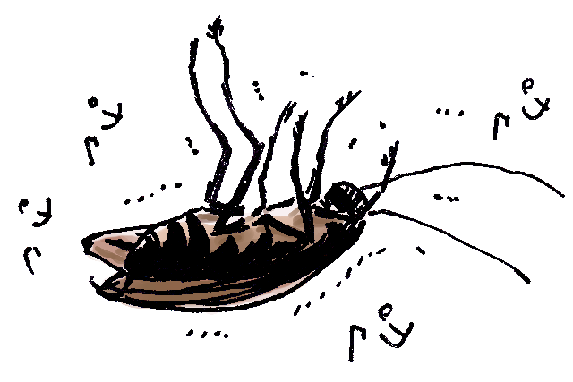死ん だ ふり ゴキブリ 除菌・消臭スプレーでゴキブリさんの菌は死ぬ？｜虫コラム｜ゴキブリキャップの株式会社タニサケ